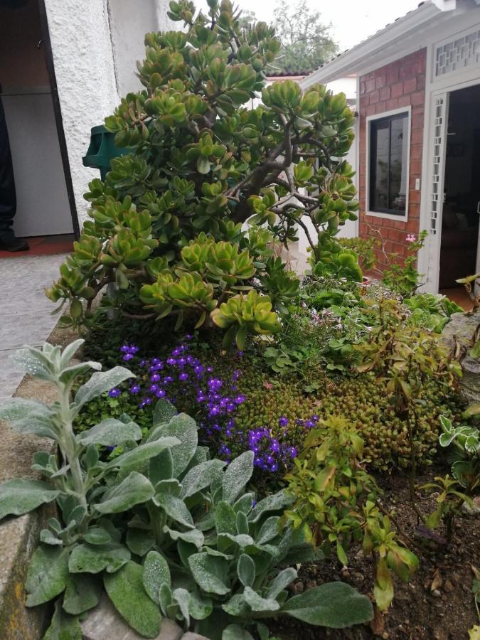 Bed and Breakfast Casatodosantos Cuenca Zewnętrze zdjęcie