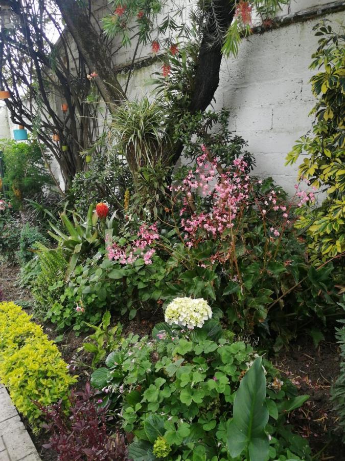 Bed and Breakfast Casatodosantos Cuenca Zewnętrze zdjęcie
